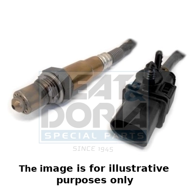 Oxygen Sensor